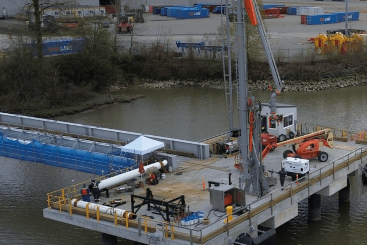 DP World Canola Oil - 1