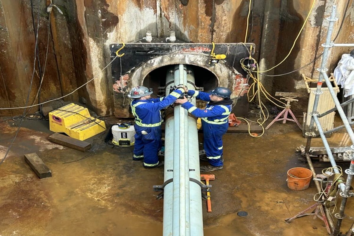 FWS - DP WORLD CANOLA - 2